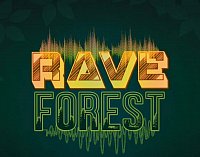 RaveForest - Interaktiven Klanginstallation vom 31.03. - 01.04.2023 in Halle/Saale